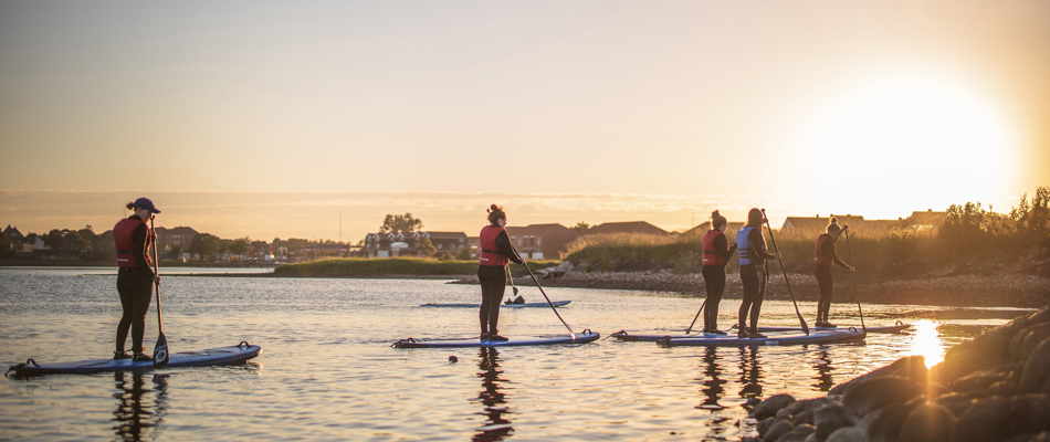 Padelboard surfere i Limfjorden